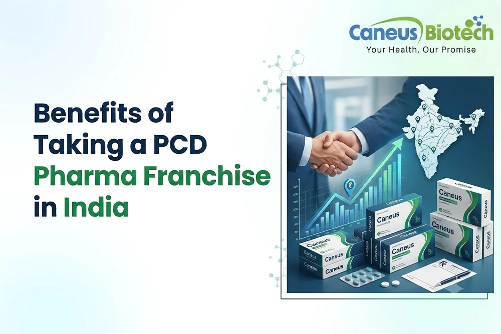 Benefits of Taking a PCD Pharma Franchise in India