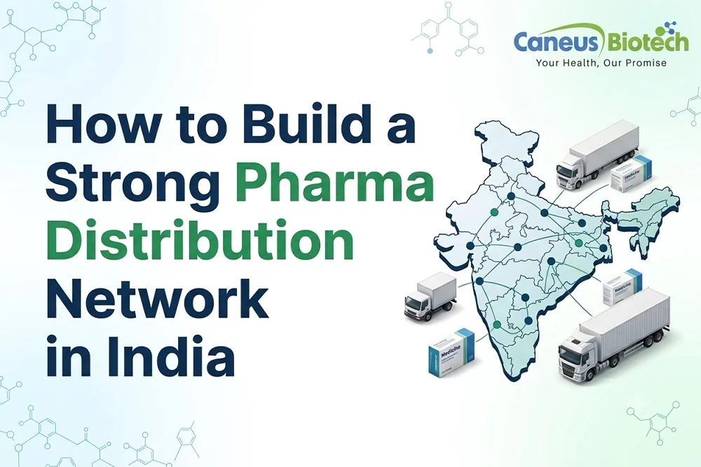 How to Build a Strong Pharma Distribution Network in India