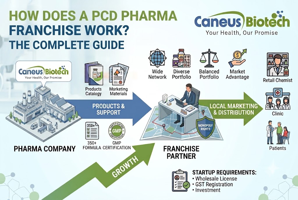 How Does a PCD Pharma Franchise Work