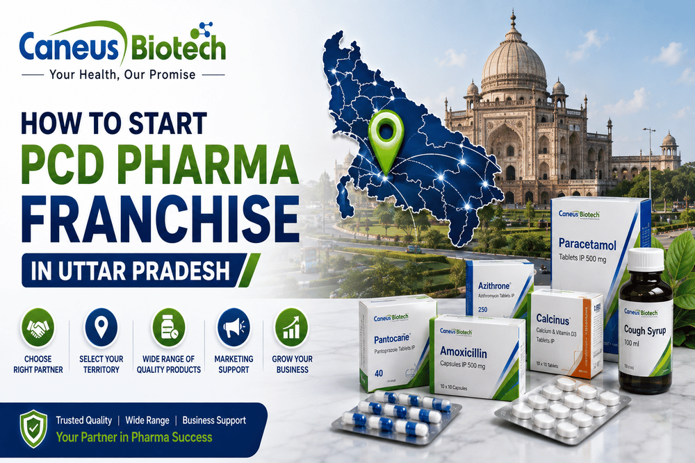 How to Start PCD Pharma Franchise in Uttar Pradesh?