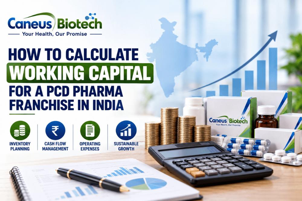How to Calculate Working Capital for a PCD Pharma Franchise in India