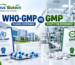WHO-GMP vs GMP Pharma Companies: Key Differences Explained