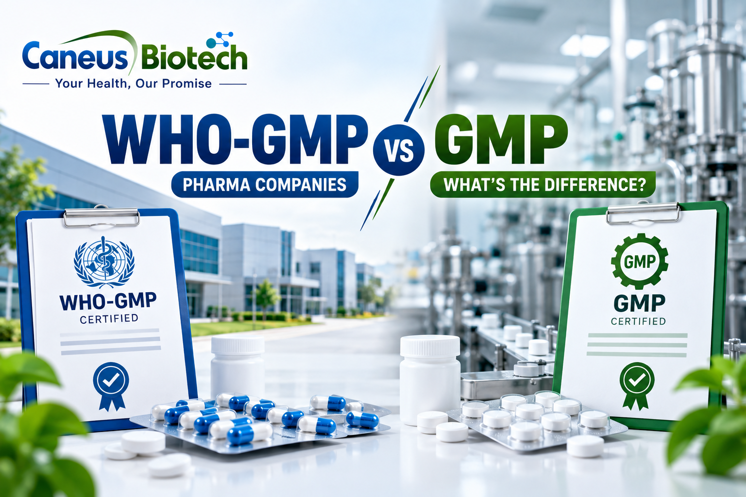WHO-GMP vs GMP Pharma Companies: Key Differences Explained